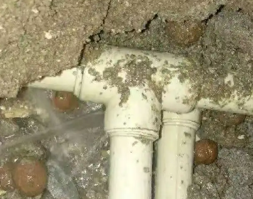 亭湖测漏水多少钱