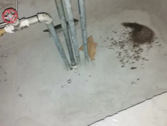 亭湖卫生间测漏水价格明细