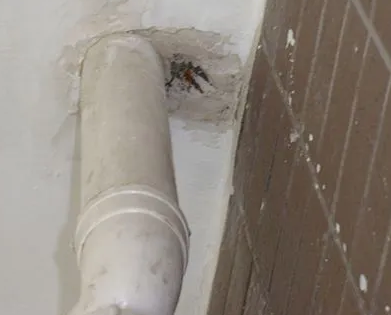 亭湖漏水检测哪家好